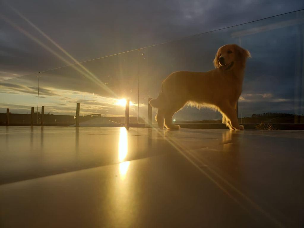Casa à venda no Paraíso: 