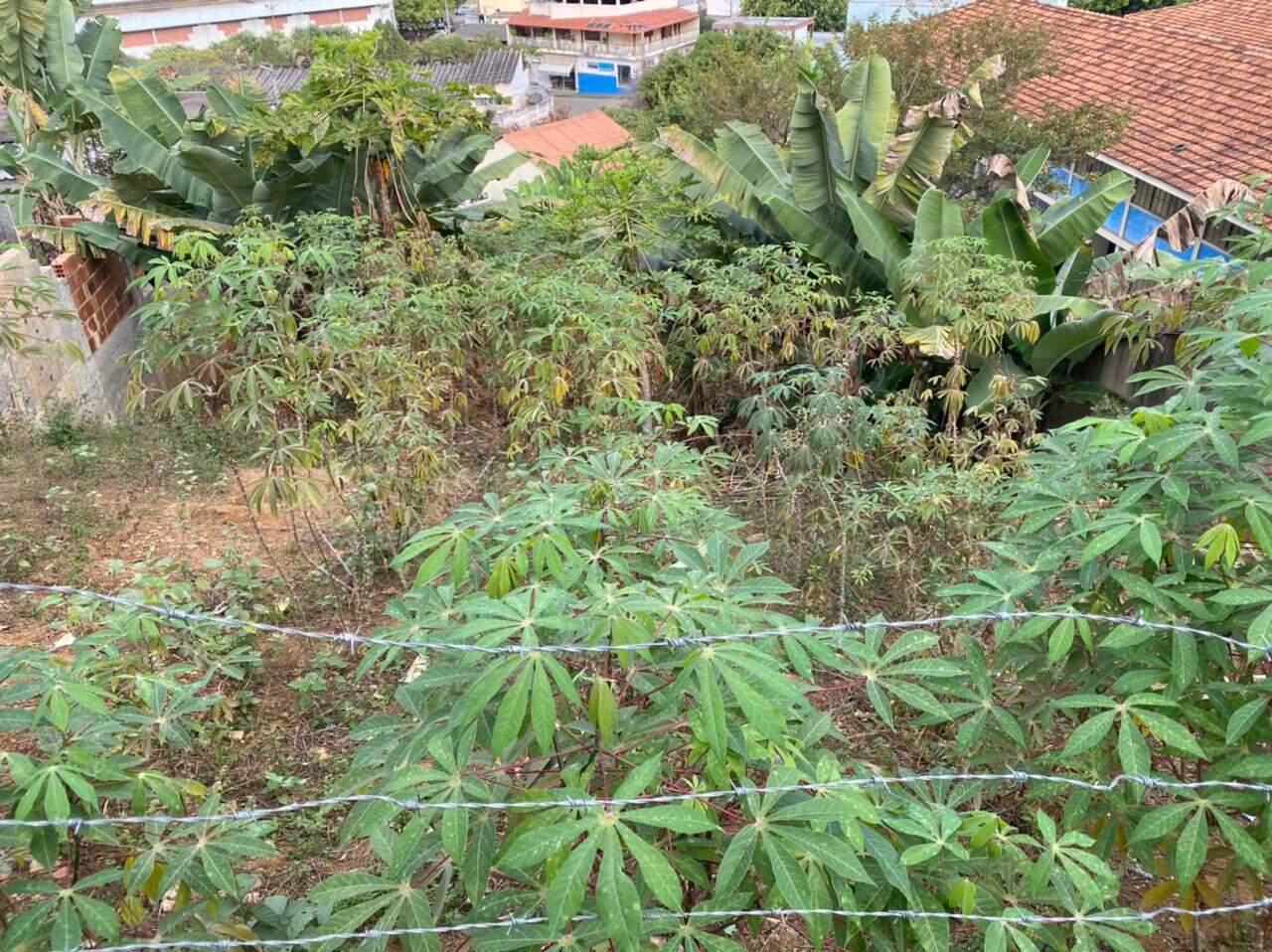 Lote à venda no Bela Vista: 