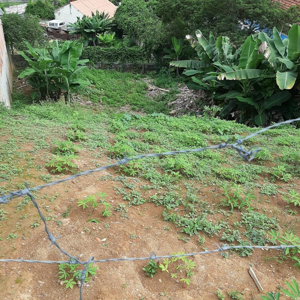 Lote à venda no Bela Vista: 