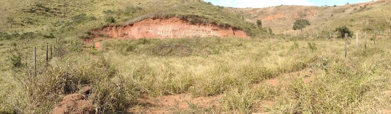 Chácara à venda no Área Rural de Ponte Nova: 