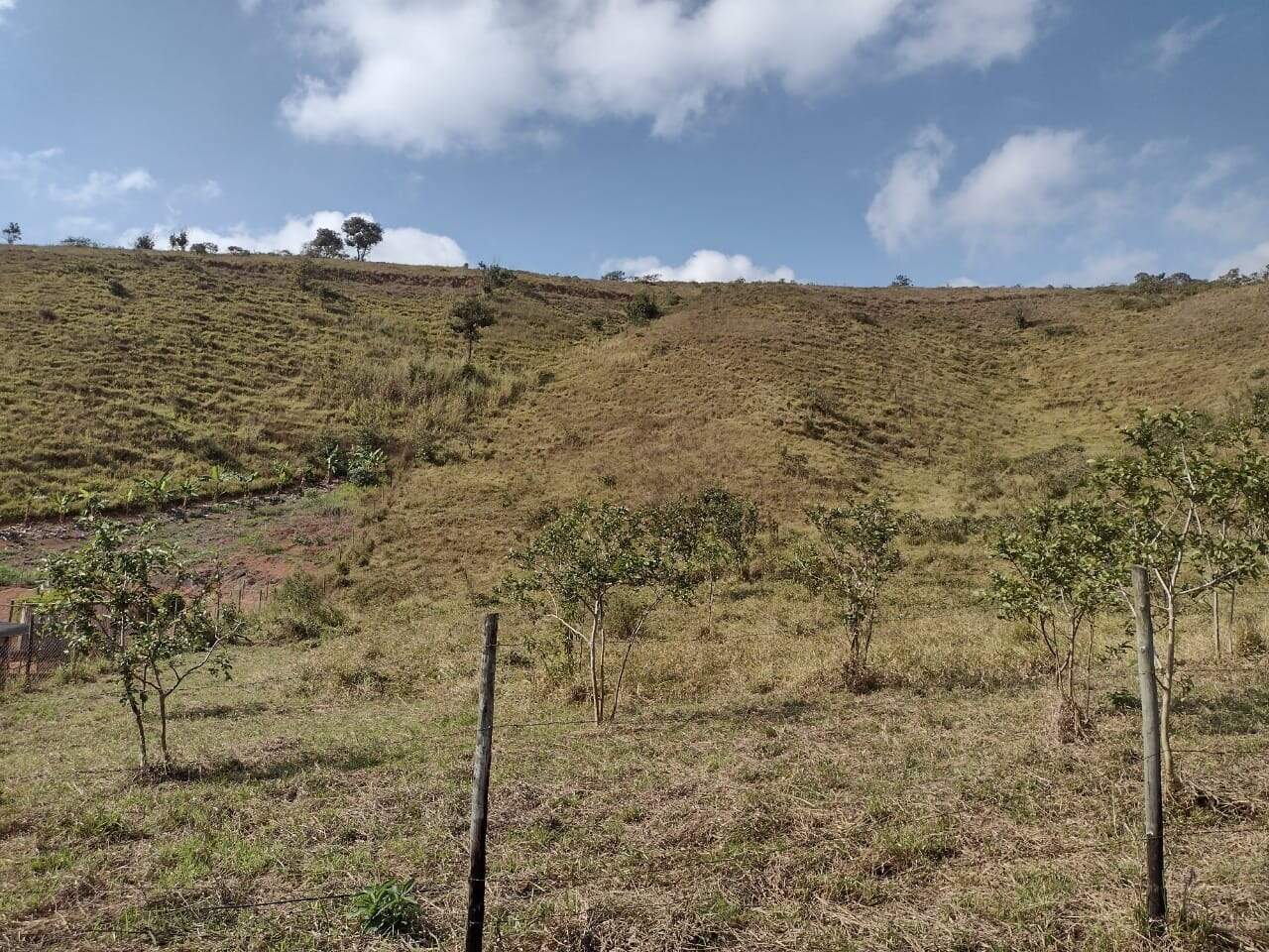 Chácara à venda no Área Rural de Ponte Nova: 