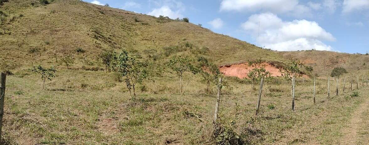 Chácara à venda no Área Rural de Ponte Nova: 