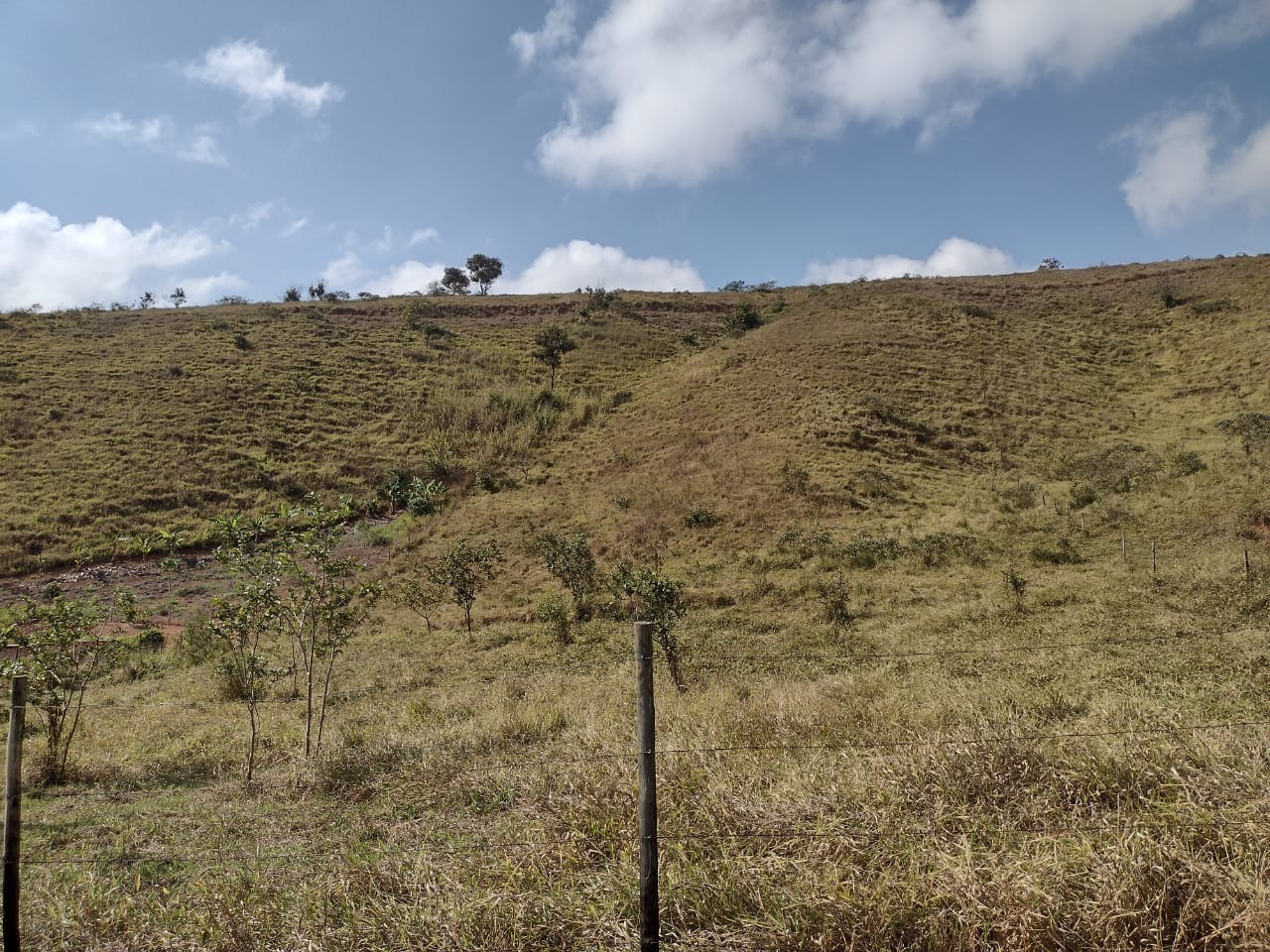 Chácara à venda no Área Rural de Ponte Nova: 
