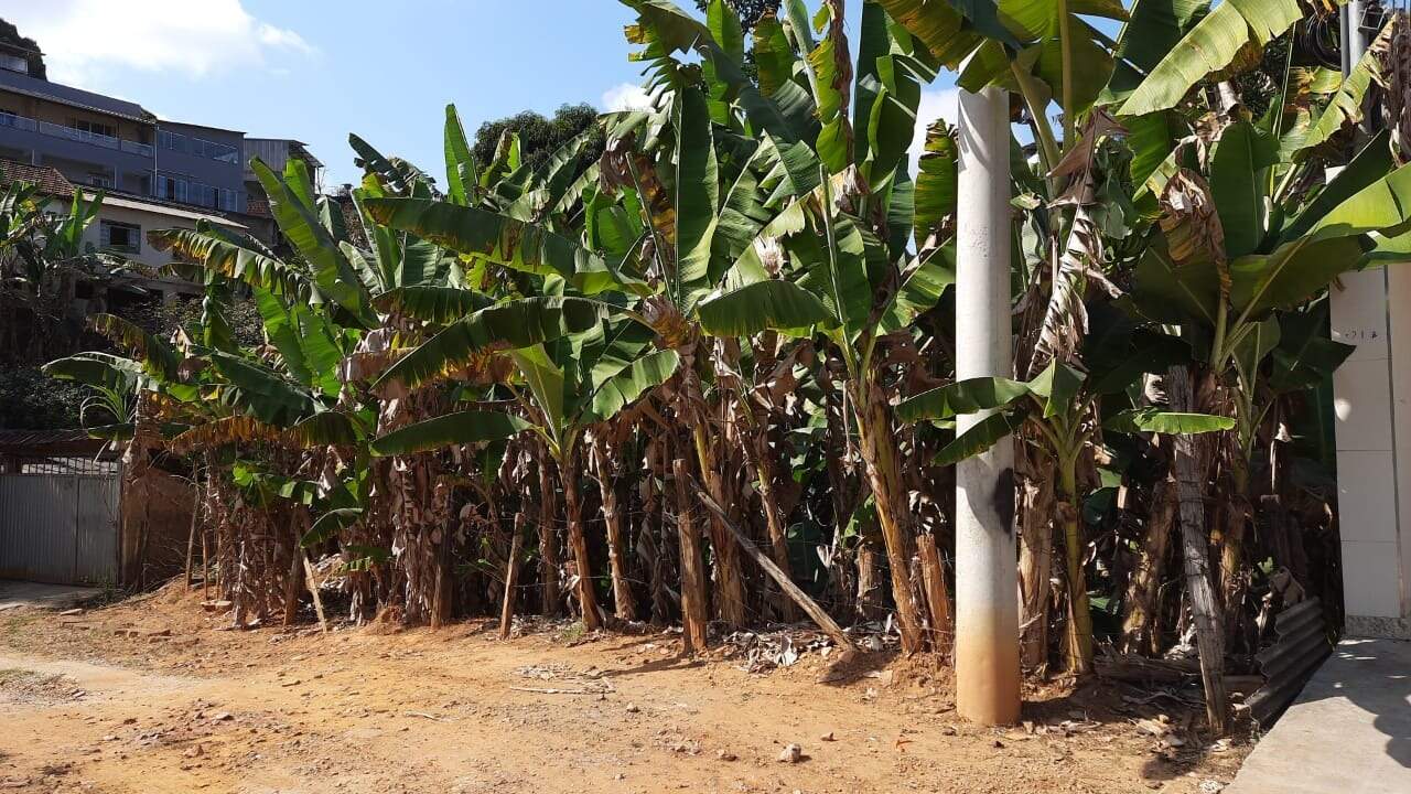 Lote à venda no Palmeiras: 