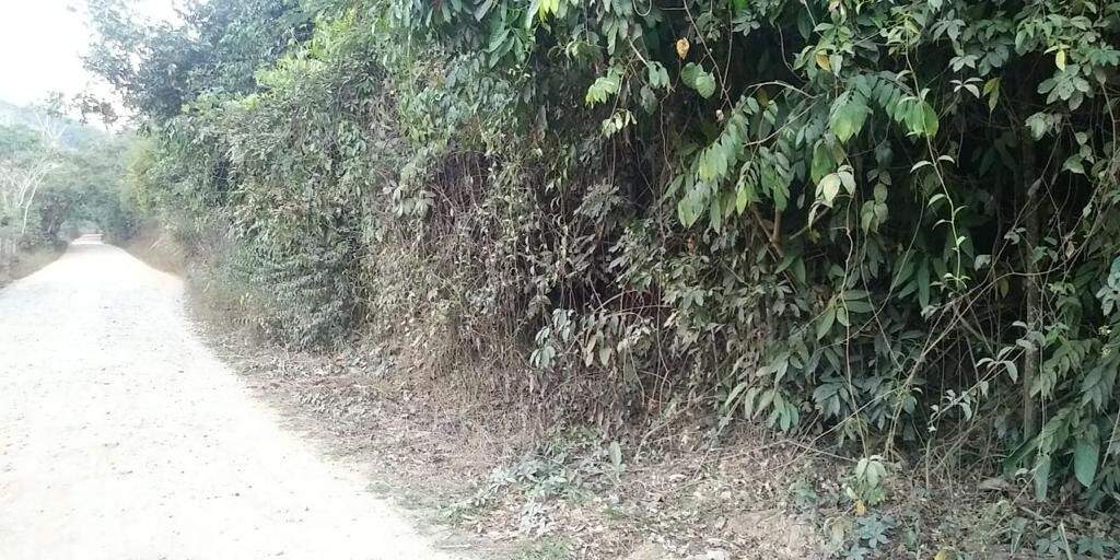 Sítio à venda no Zona Rual: 