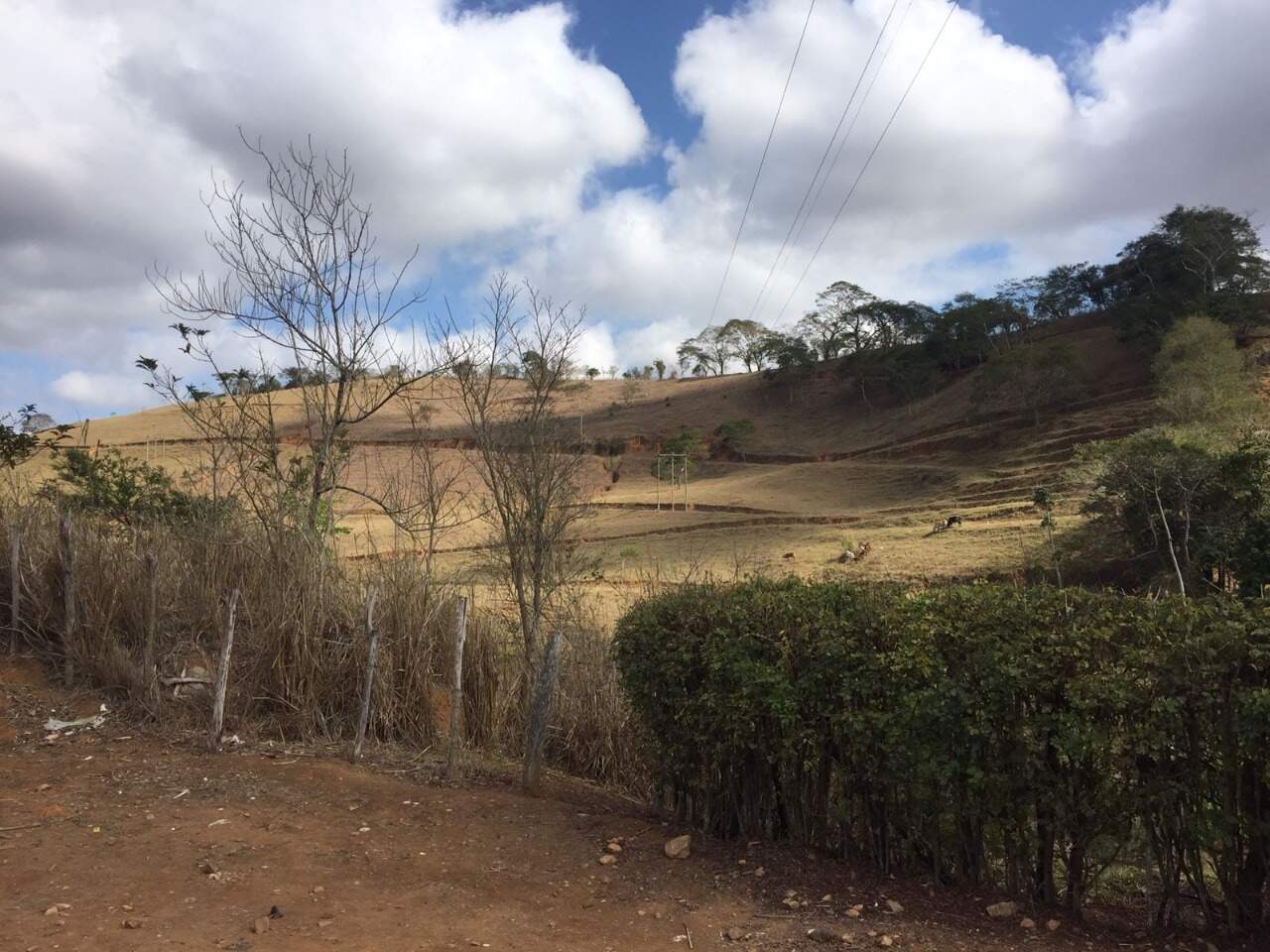 Terreno / Área à venda no Fazenda Esperança: 