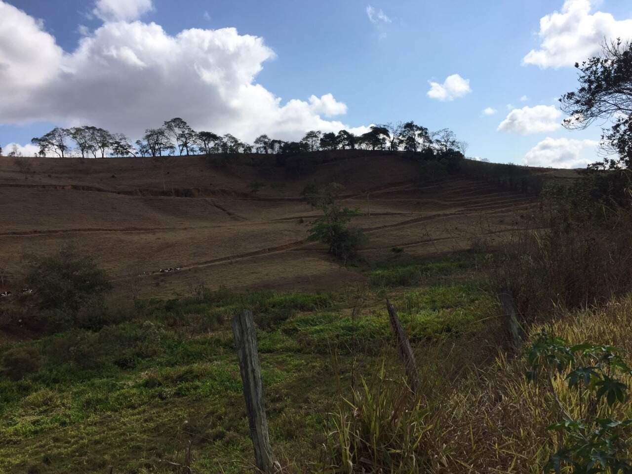 Terreno / Área à venda no Fazenda Esperança: 