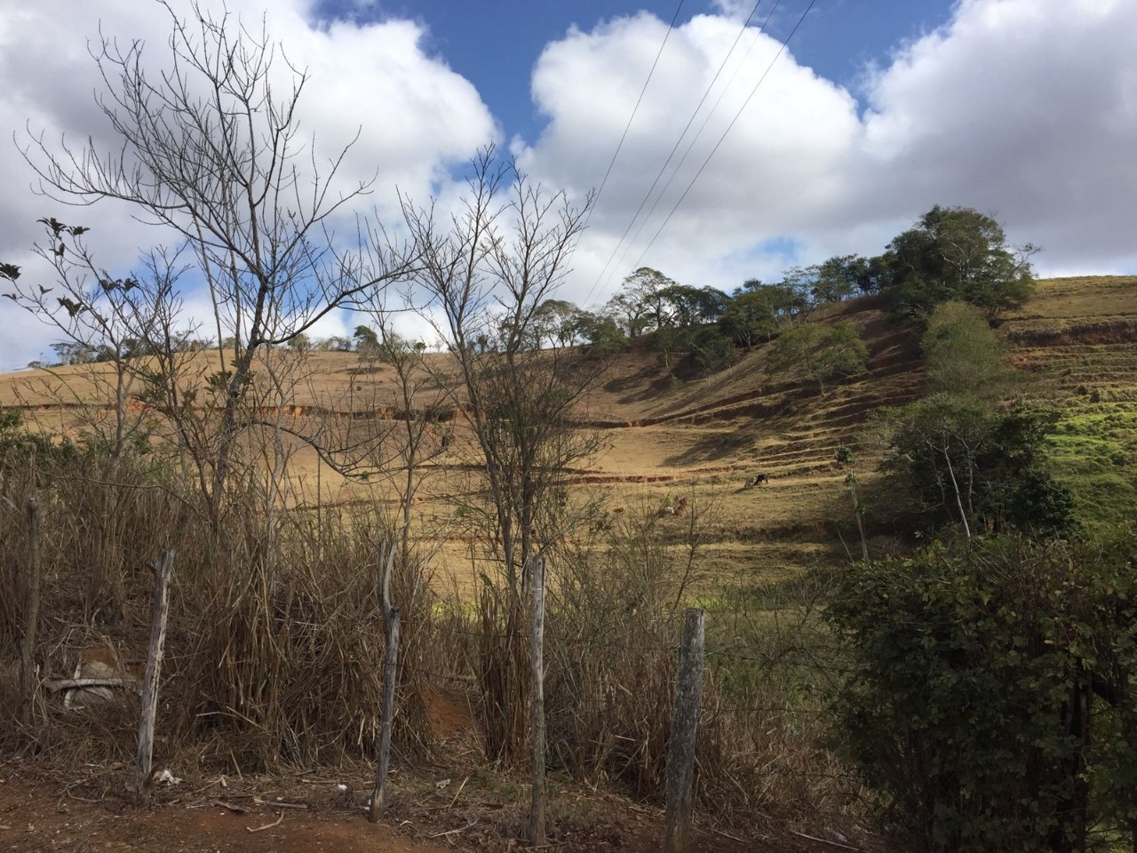 Terreno / Área à venda no Fazenda Esperança: 