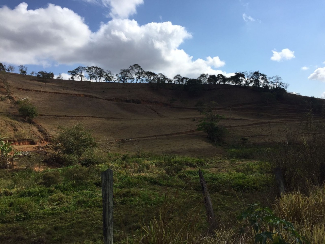 Terreno / Área à venda no Fazenda Esperança: 