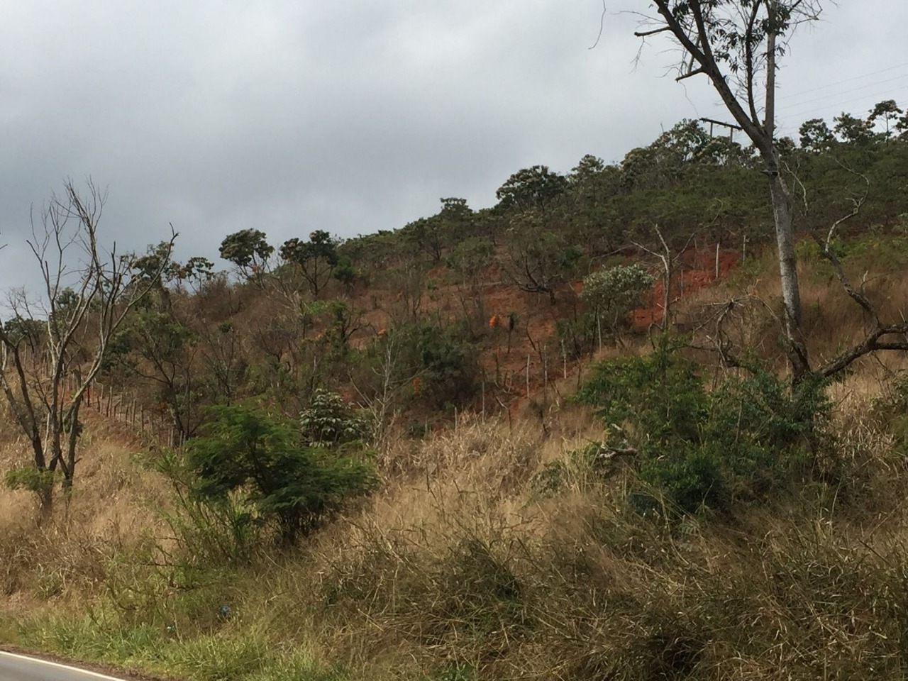 Chácara à venda no BR MG 262: 