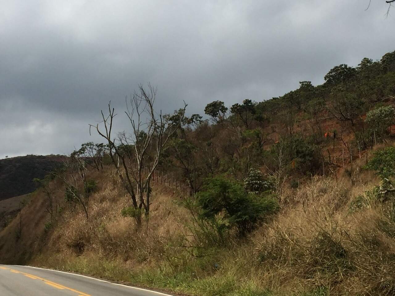 Chácara à venda no BR MG 262: 