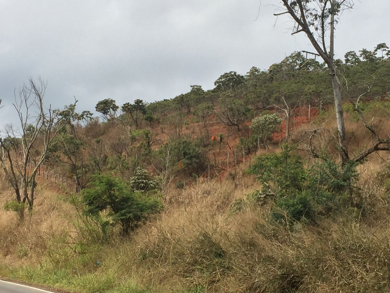 Chácara à venda no BR MG 262: 