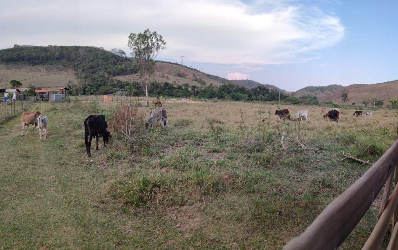 Lote à venda no Área Rural de Ponte Nova: 