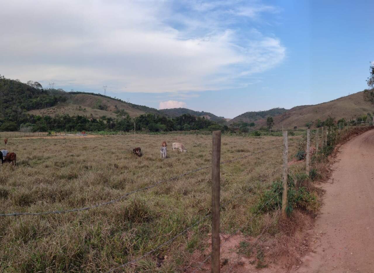 Lote à venda no Área Rural de Ponte Nova: 