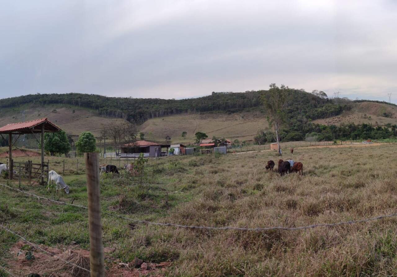Lote à venda no Área Rural de Ponte Nova: 