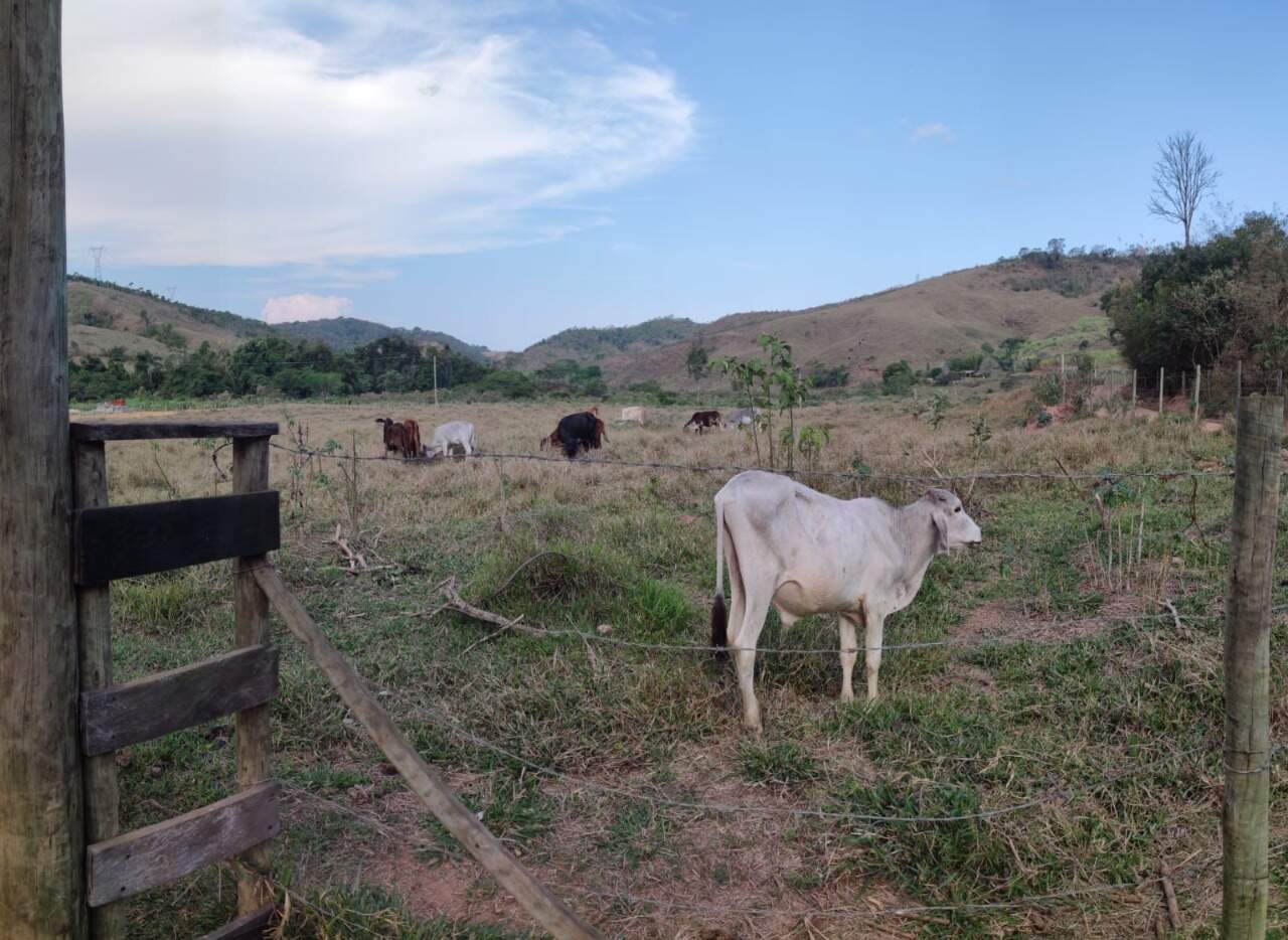 Lote à venda no Área Rural de Ponte Nova: 