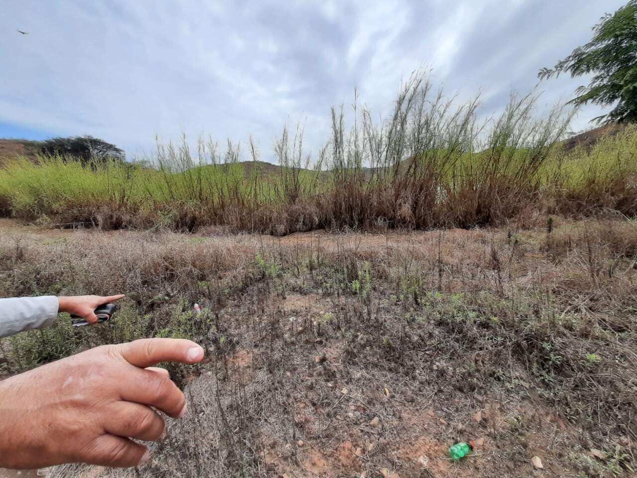 Lote Comercial à venda no Sagrado Coração de Jesus: 