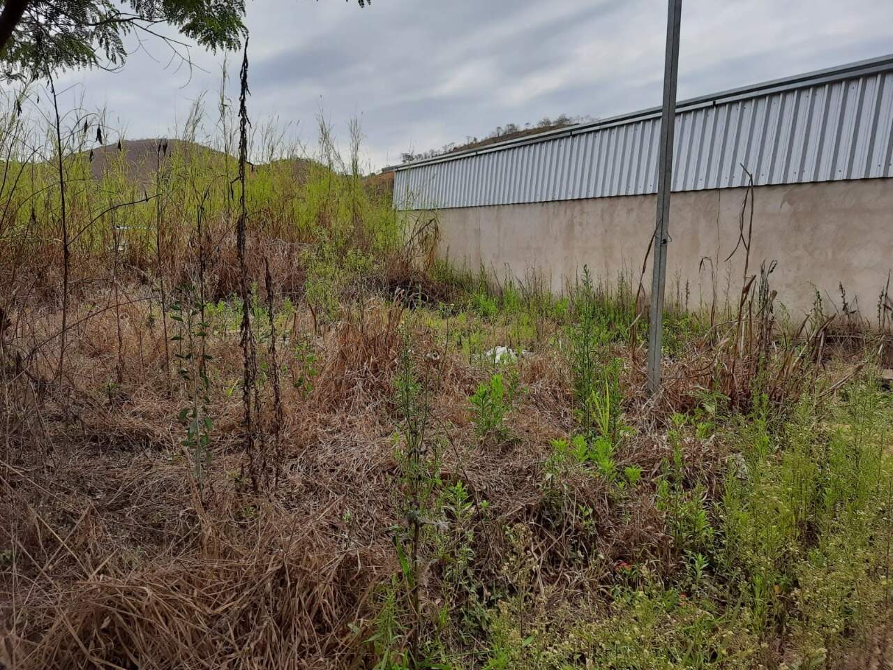 Lote Comercial à venda no Sagrado Coração de Jesus: 