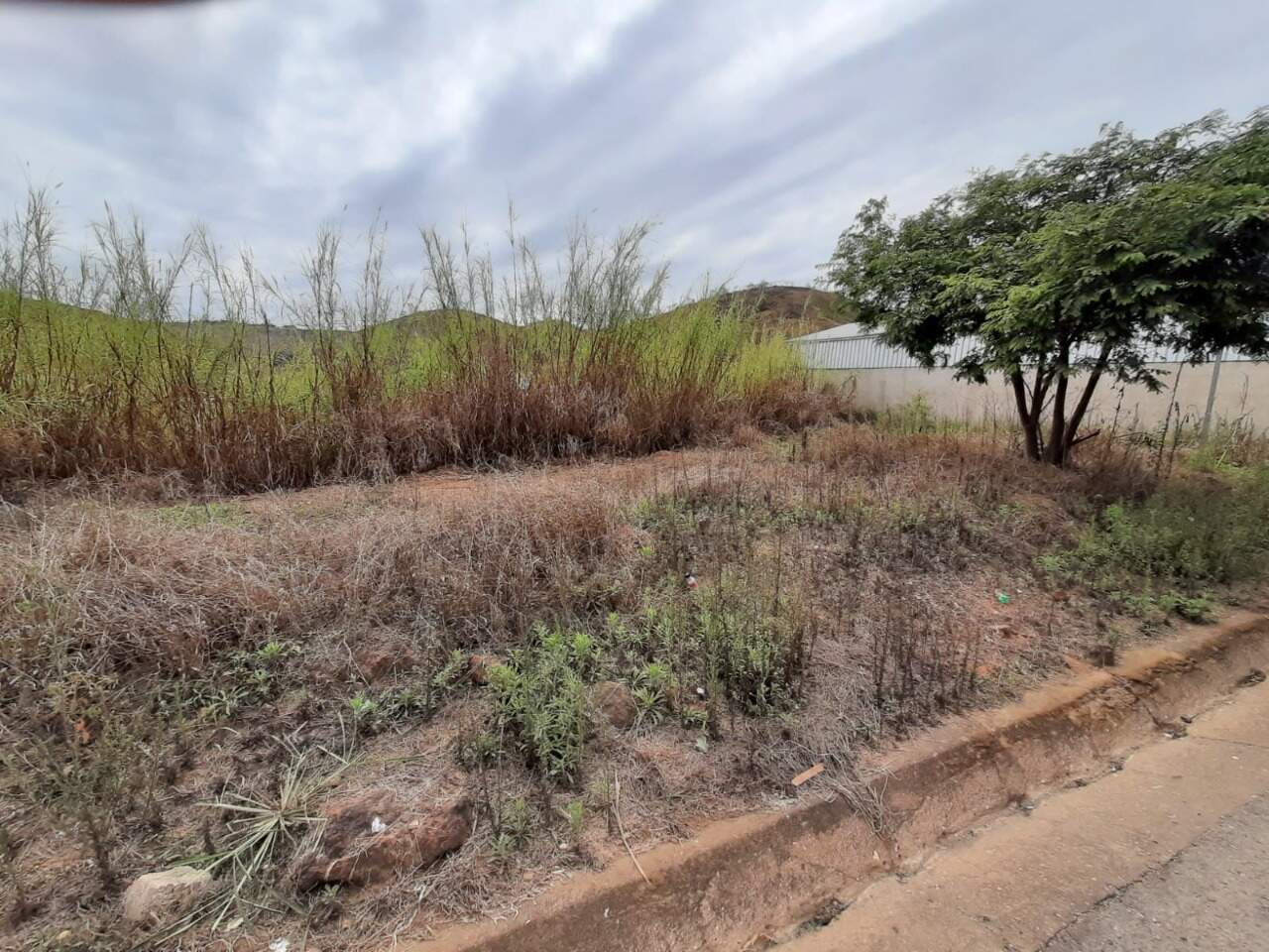 Lote Comercial à venda no Sagrado Coração de Jesus: 