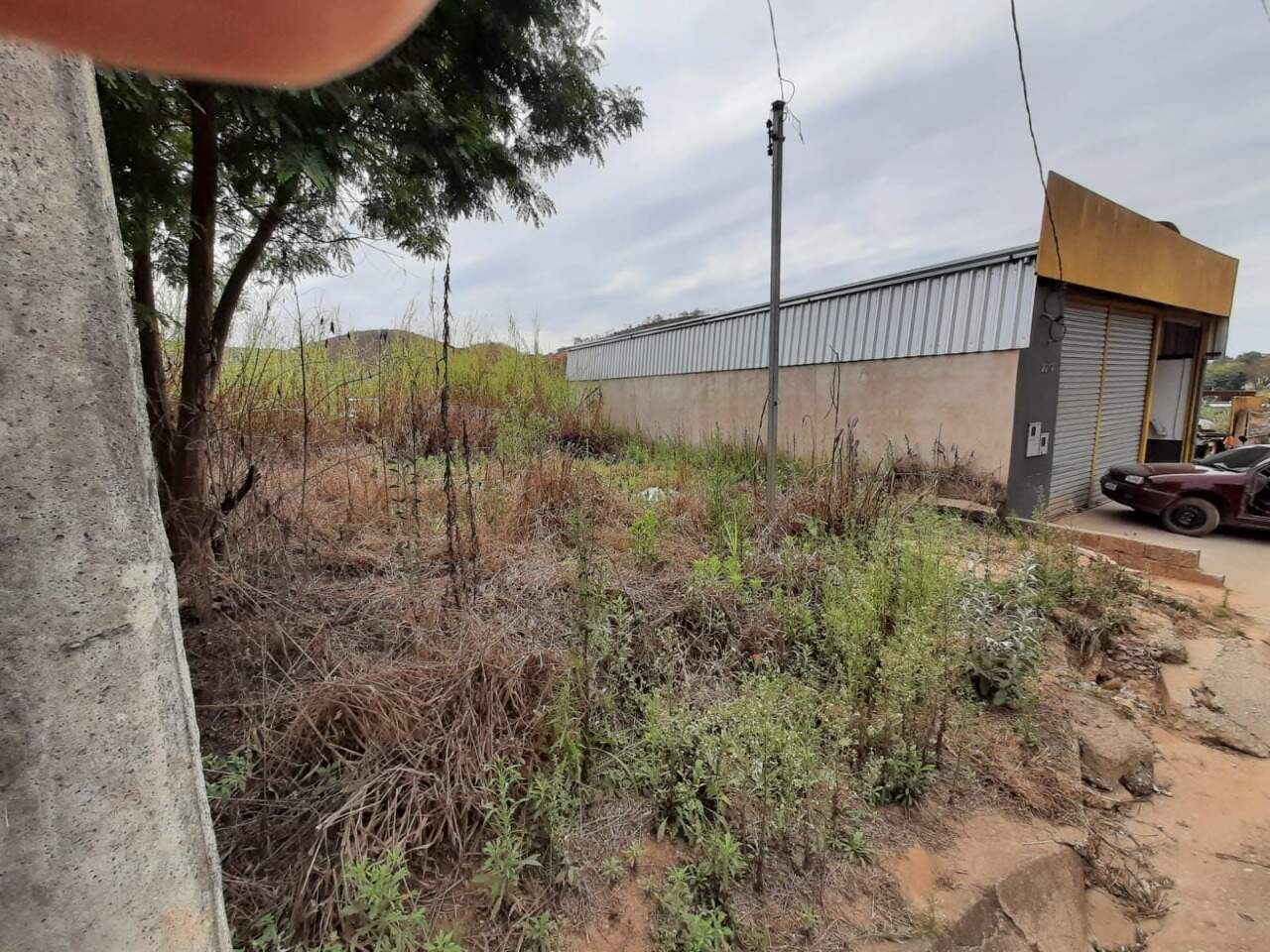 Lote Comercial à venda no Sagrado Coração de Jesus: 