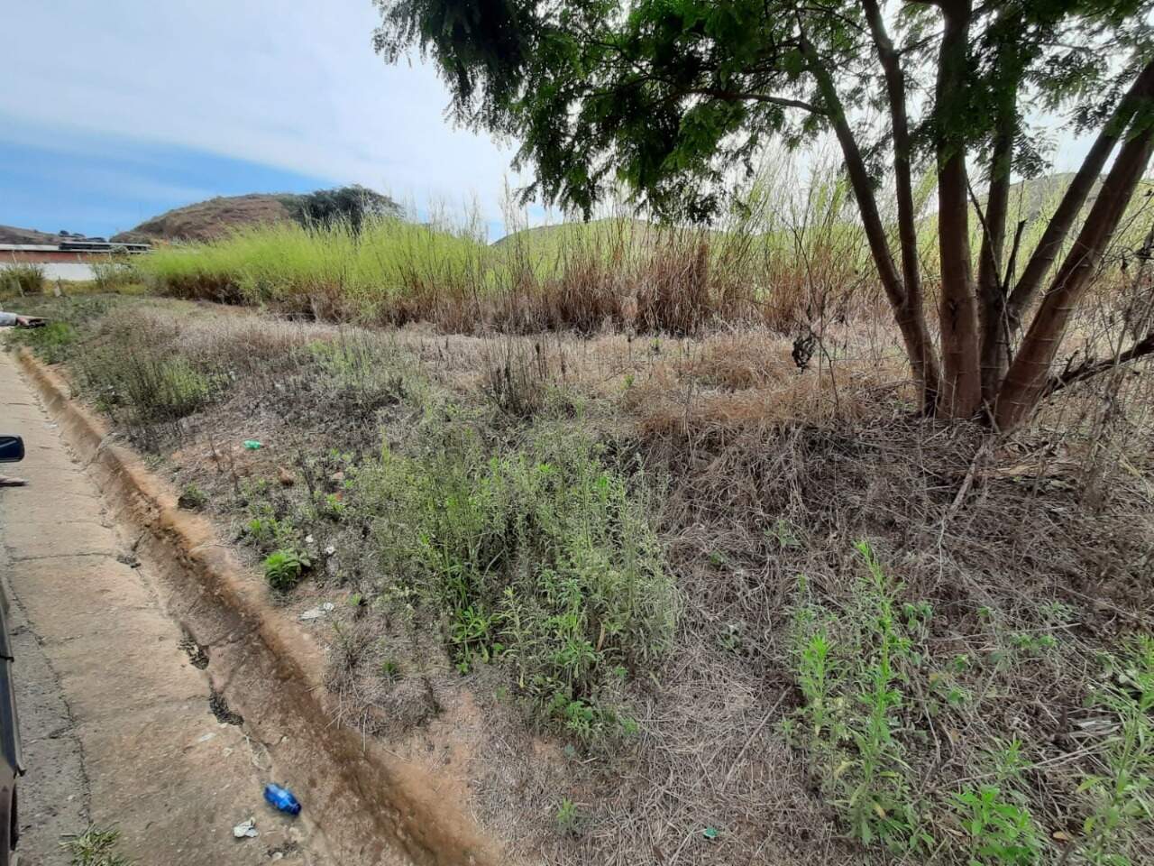 Lote Comercial à venda no Sagrado Coração de Jesus: 