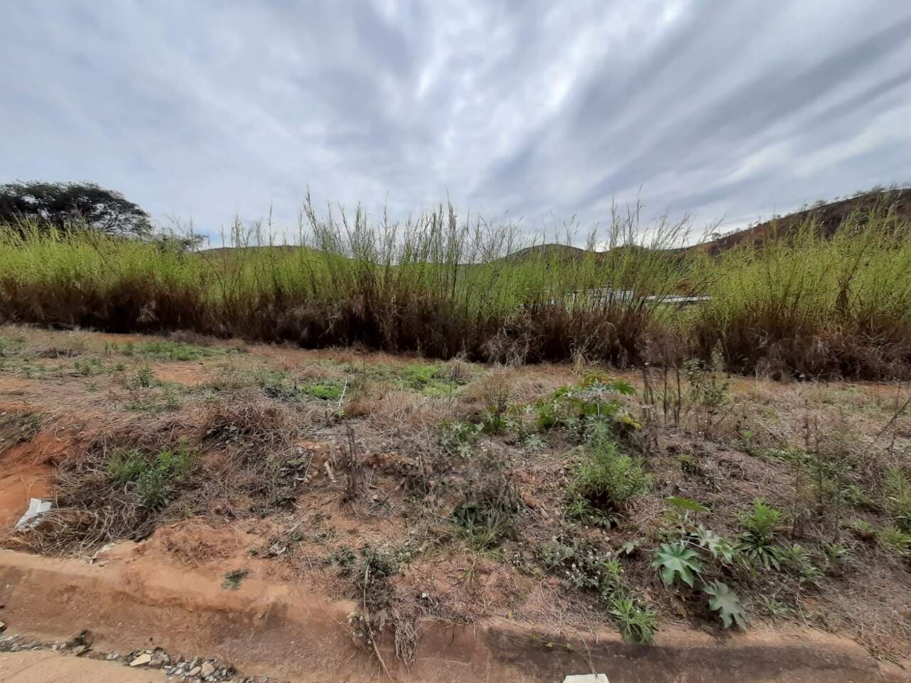 Lote Comercial à venda no Sagrado Coração de Jesus: 