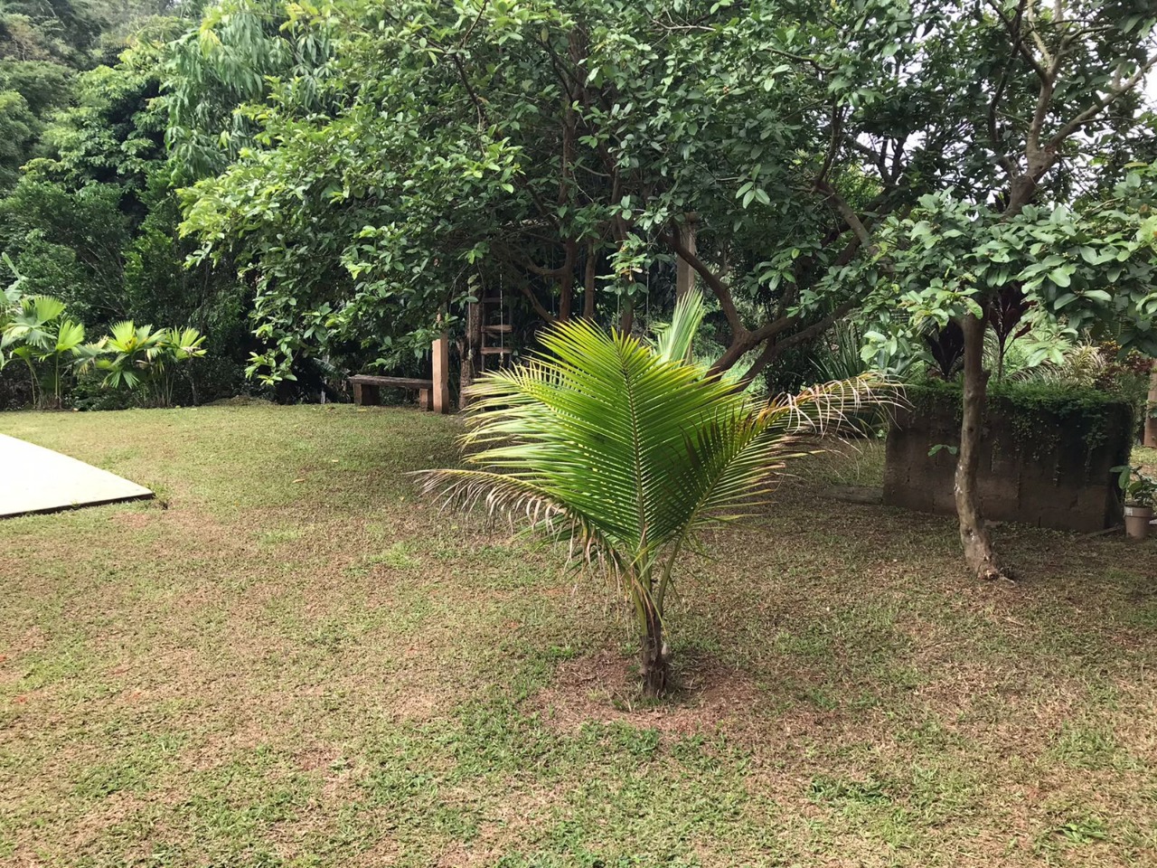 Chácara à venda no Zona Rural: 