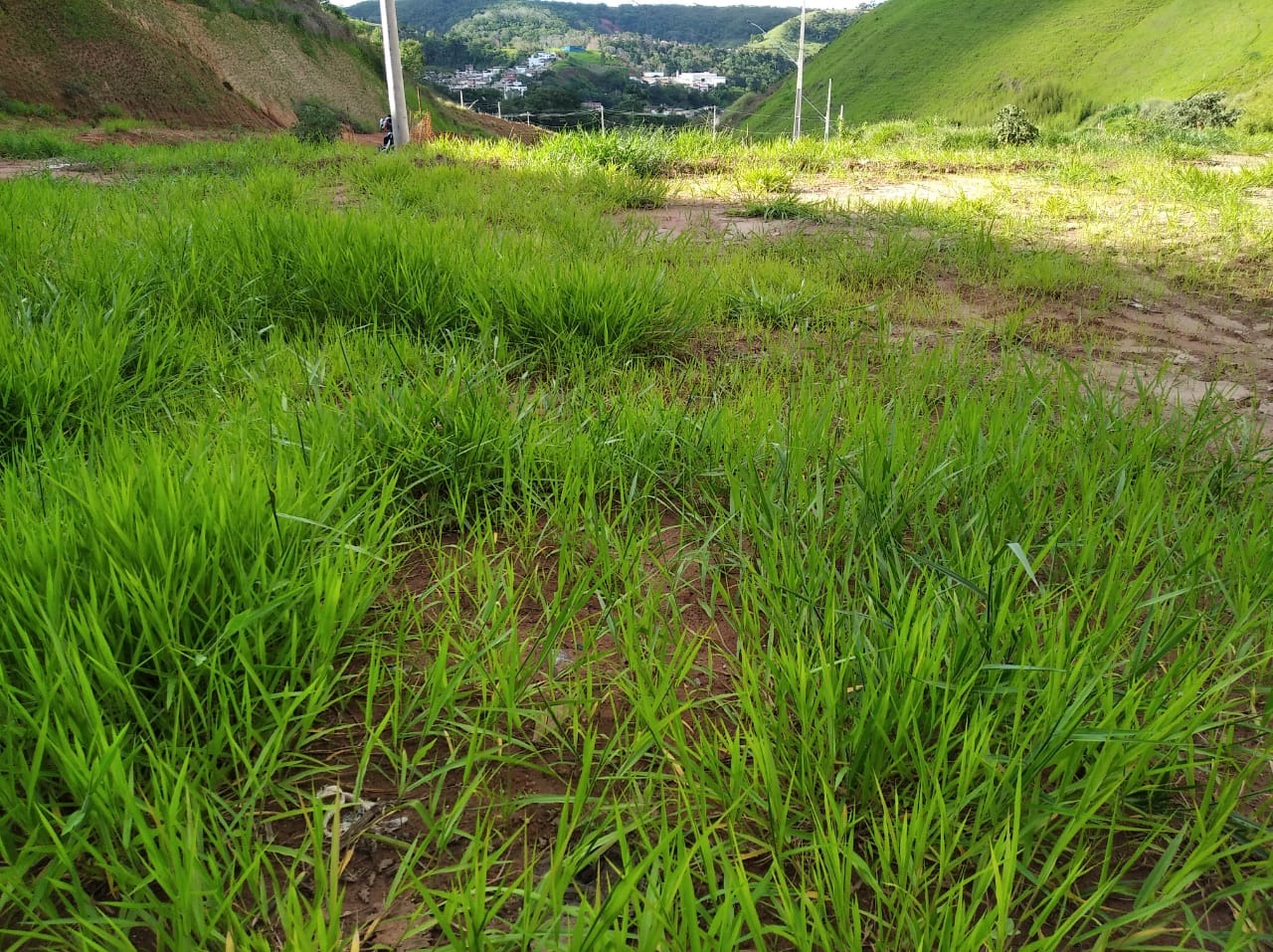 Lote à venda no Cidade Da Serra: 
