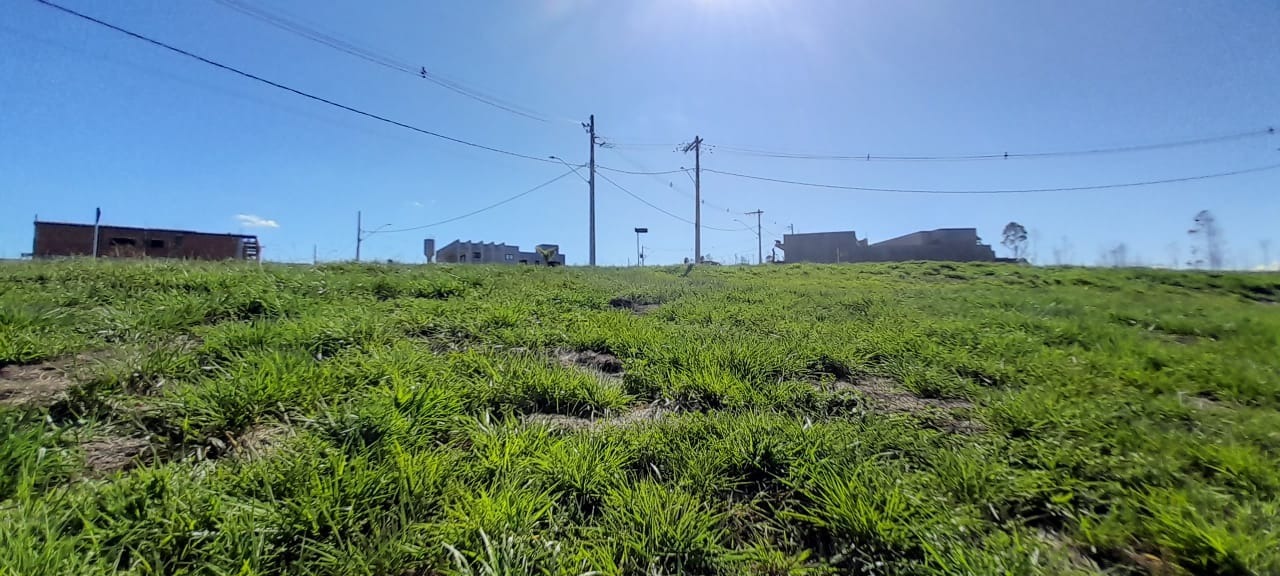 Lote à venda no estrela da mata: 