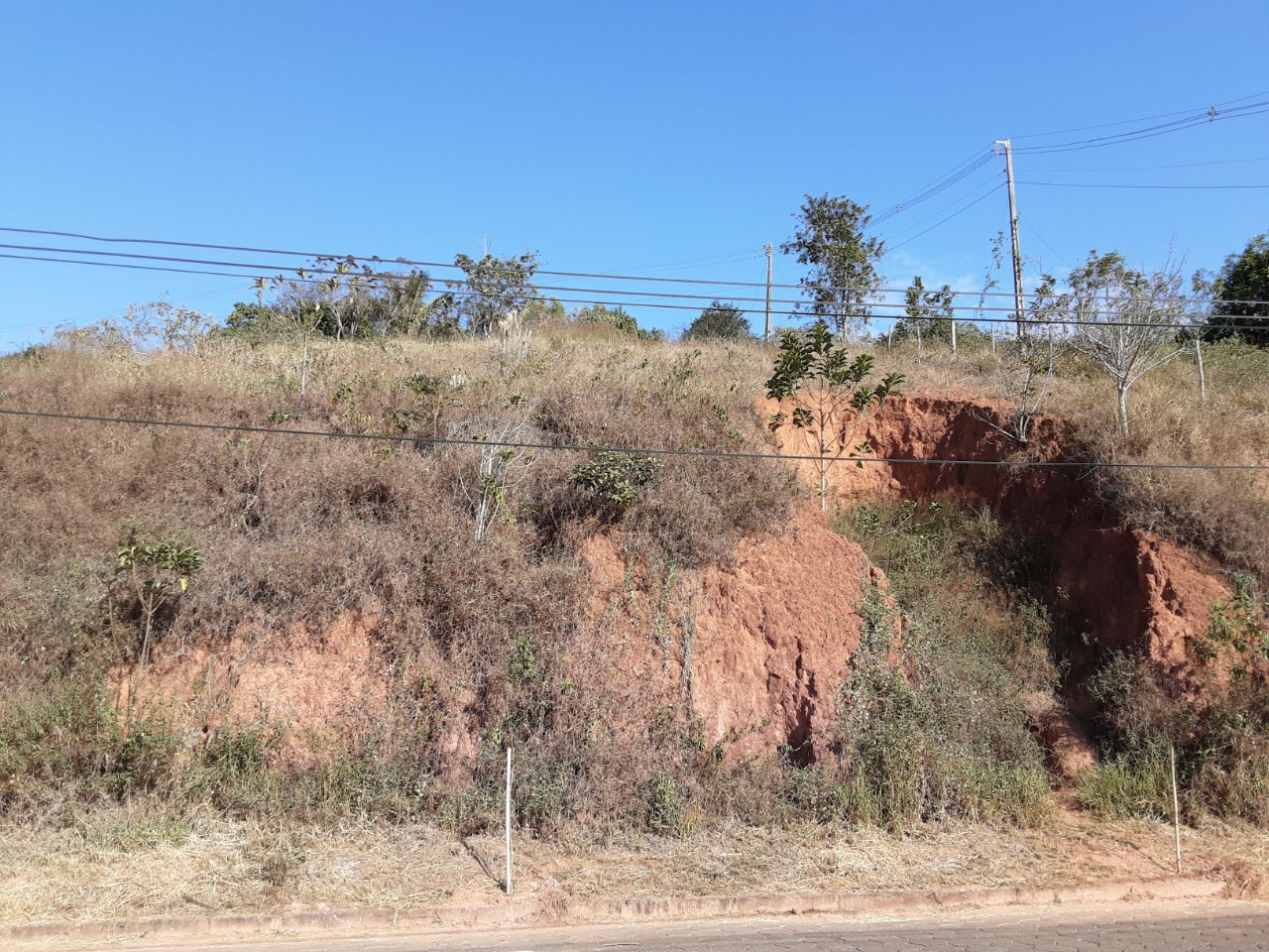 Lote à venda no Paraíso: 