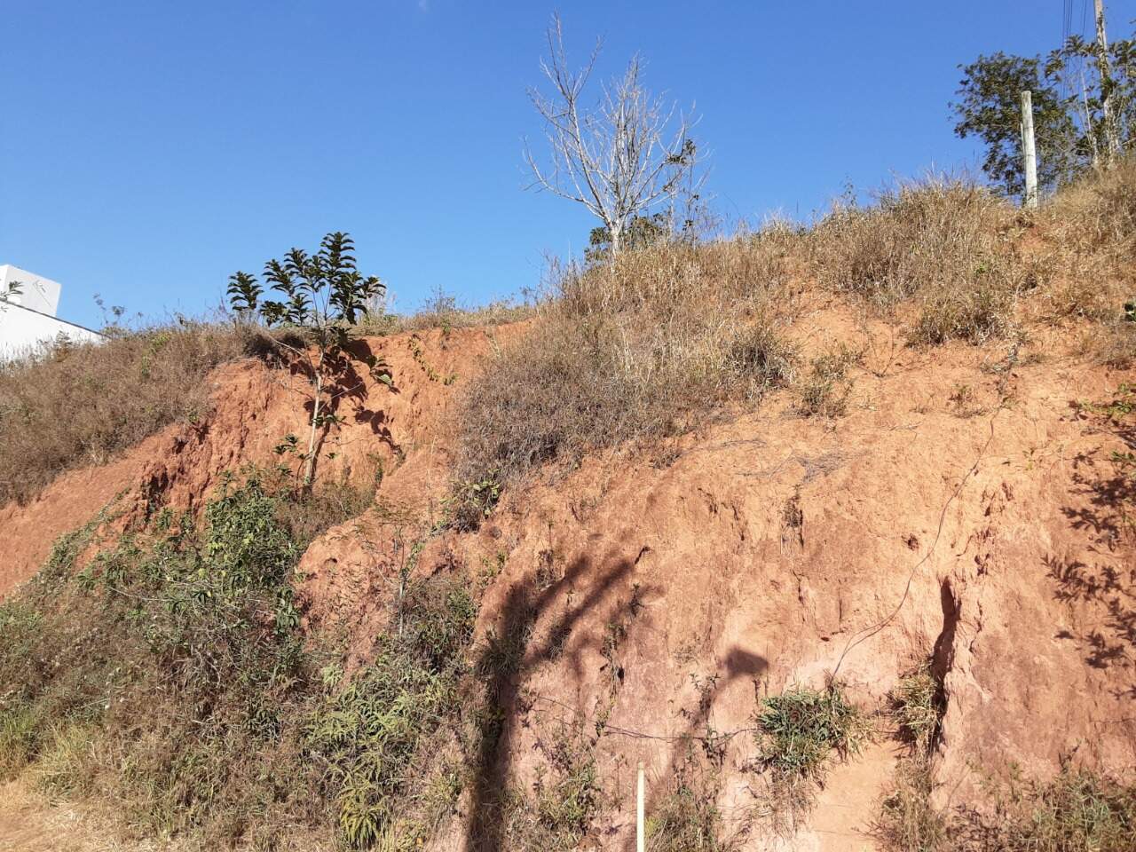 Lote à venda no Paraíso: 