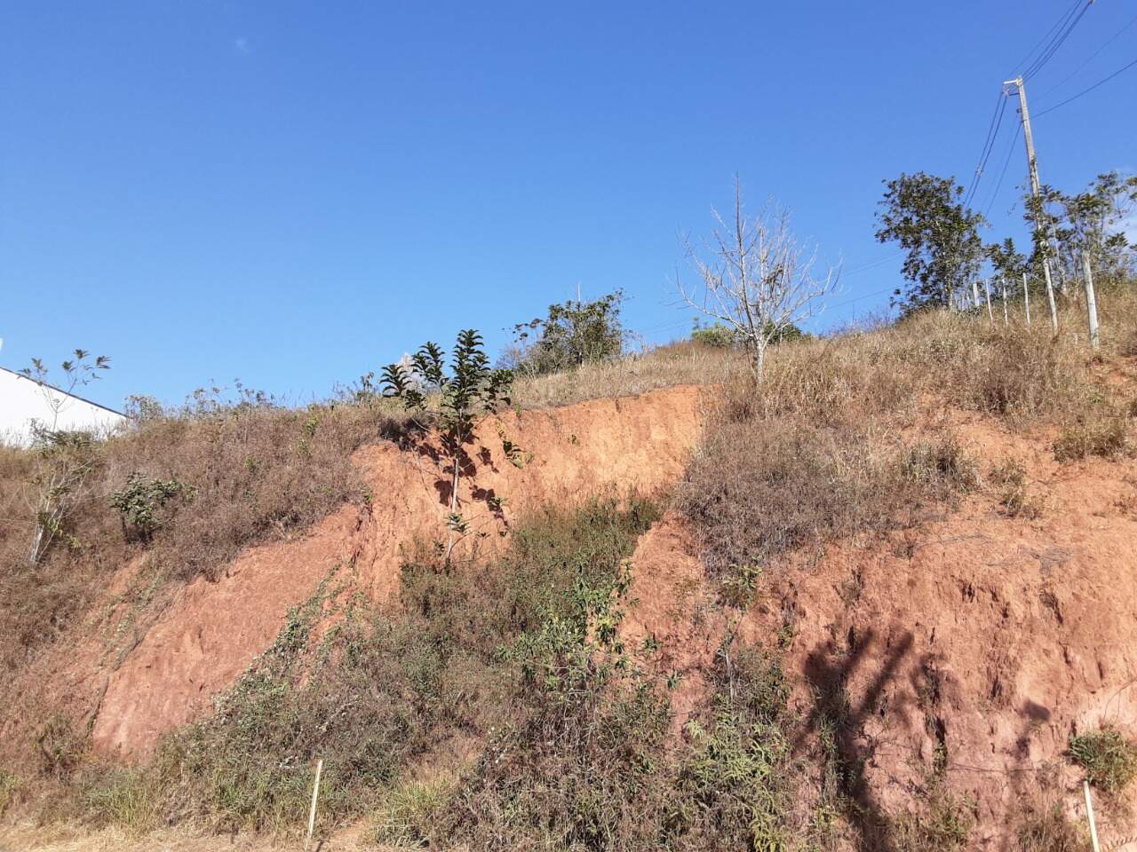 Lote à venda no Paraíso: 