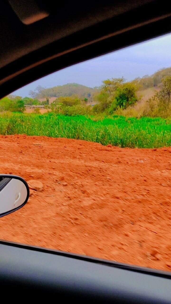 Fazenda à venda no Zona Rual: 