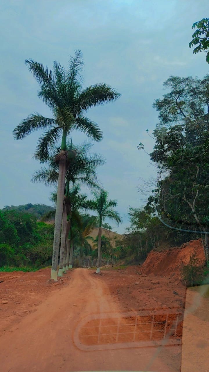 Fazenda à venda no Zona Rual: 