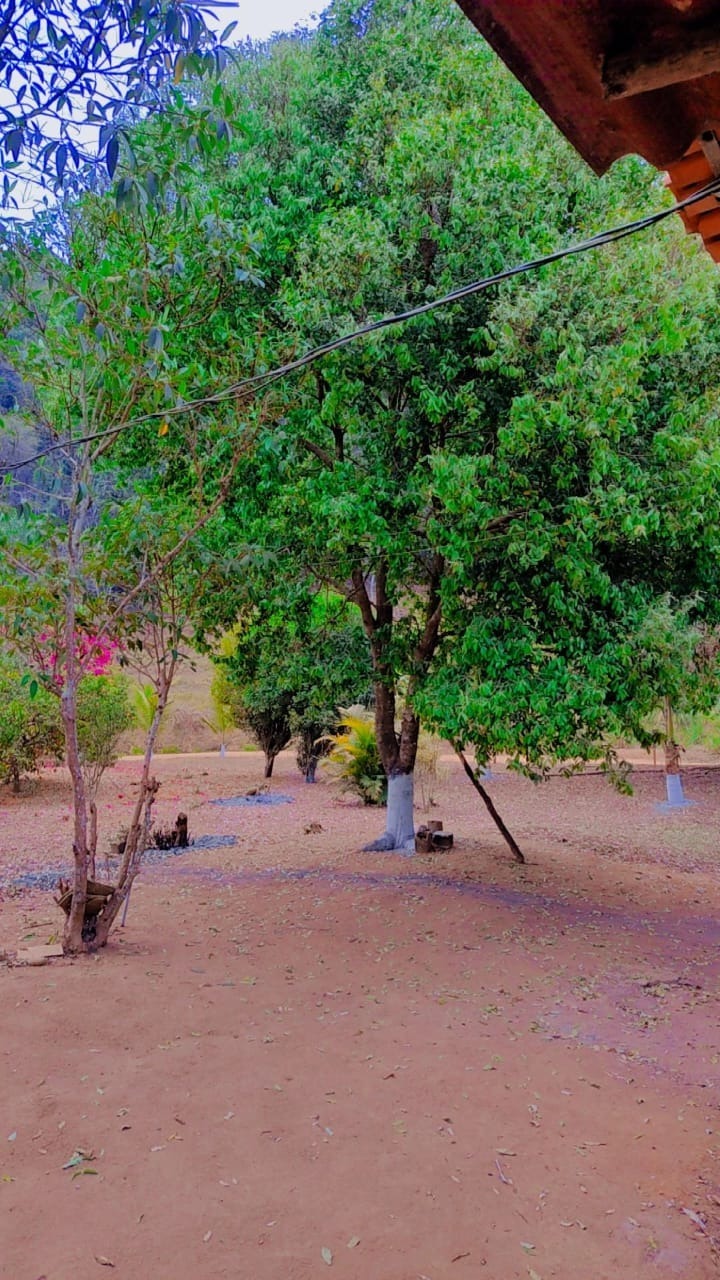 Fazenda à venda no Zona Rual: 