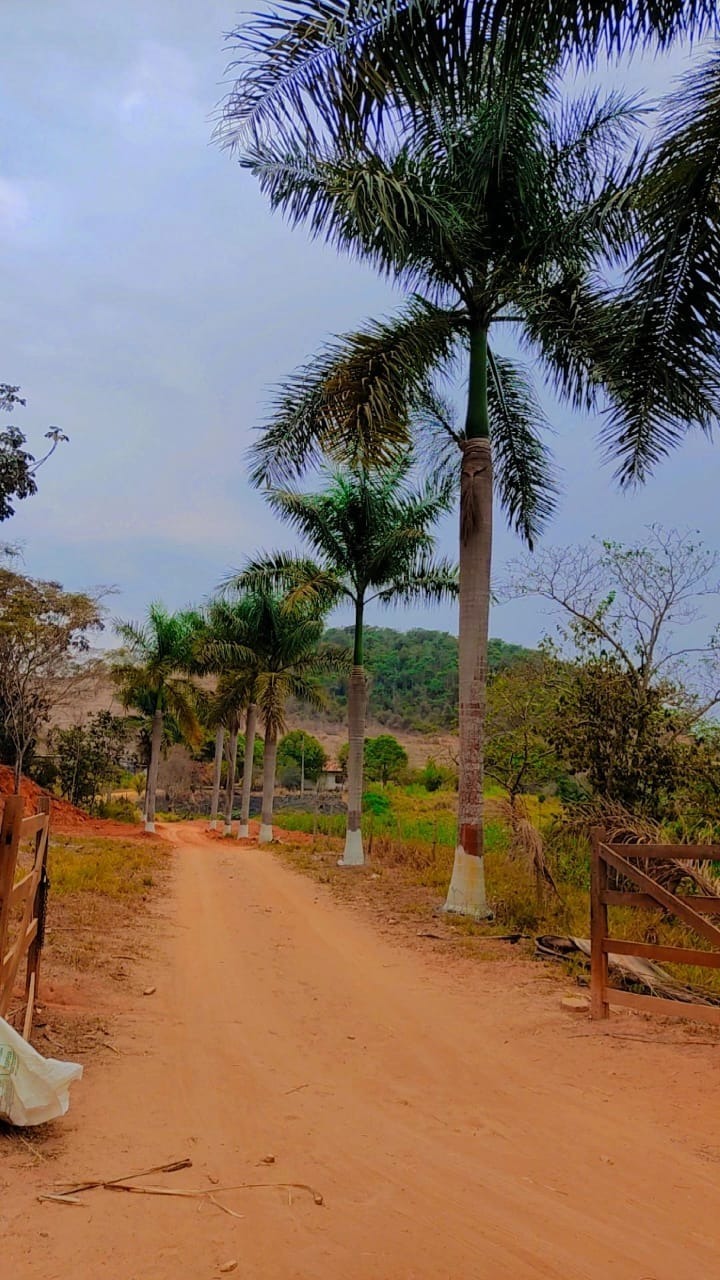 Fazenda à venda no Zona Rual: 