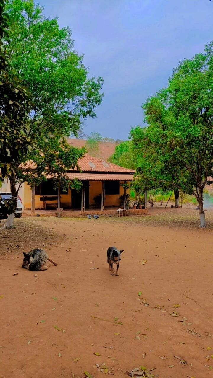 Fazenda à venda no Zona Rual: 