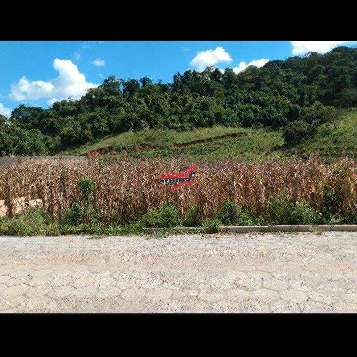 Lote à venda no Santa Helena: 