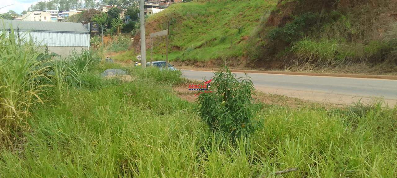 Lote à venda no Sagrado Coração de Jesus: 