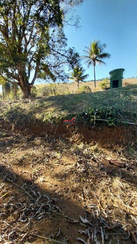 Sítio para aluguel no Não Informado: 