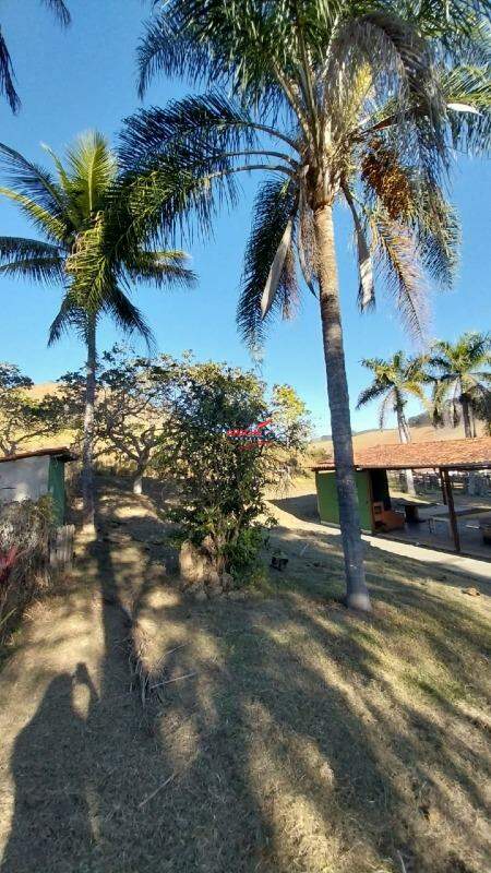 Sítio para aluguel no Não Informado: 