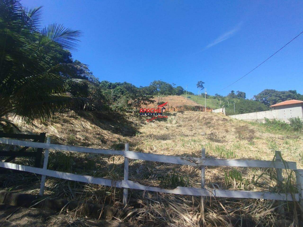 Sítio à venda no Área Rural de Ponte Nova: 
