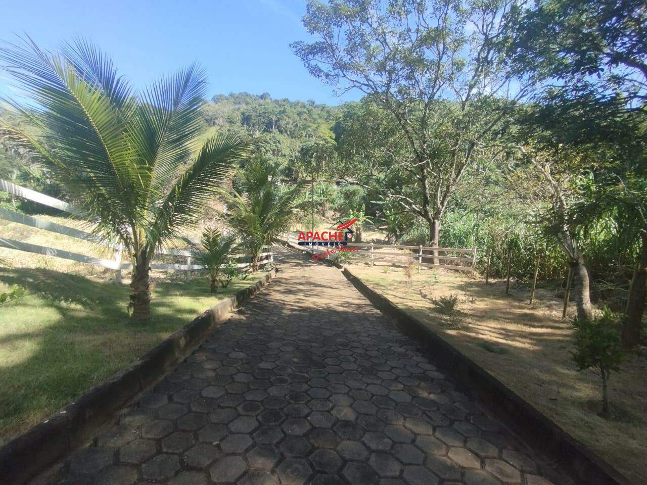 Sítio à venda no Área Rural de Ponte Nova: 