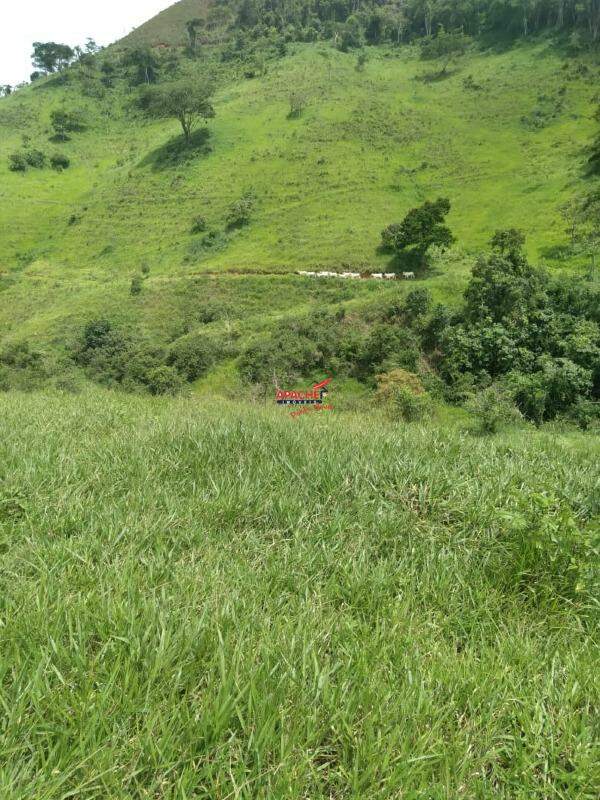 Fazenda à venda no Não Informado: 