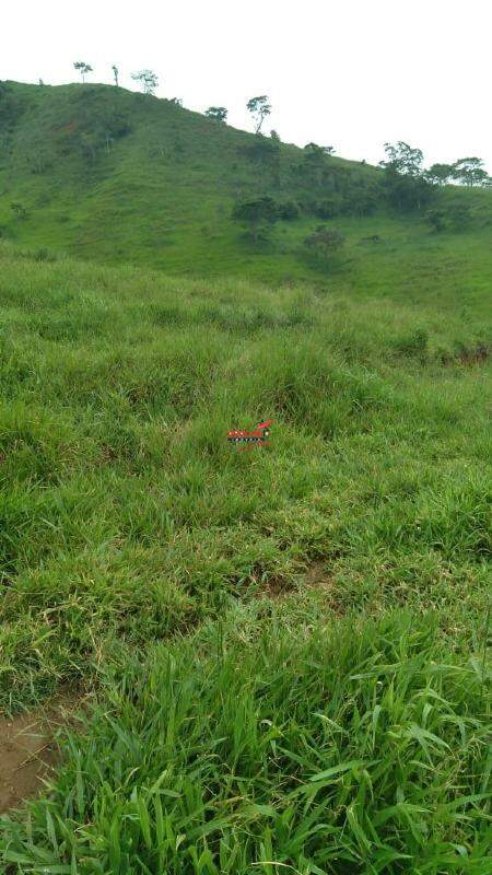 Fazenda à venda no Não Informado: 
