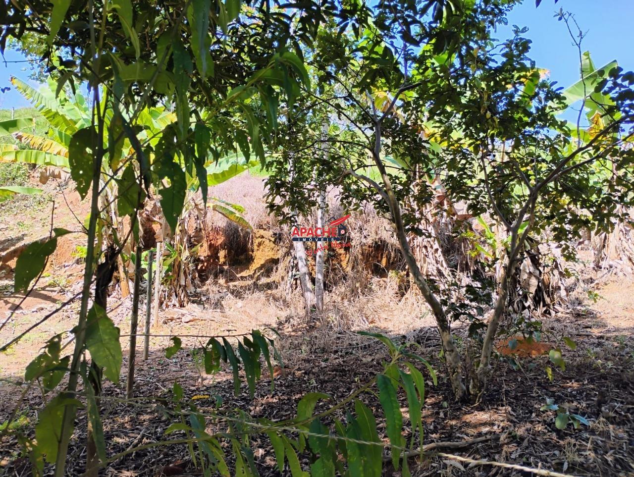 Sítio à venda no Não Informado: 