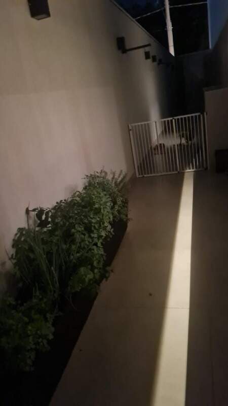 Casa para aluguel no Damha Residencial Uberaba III: 