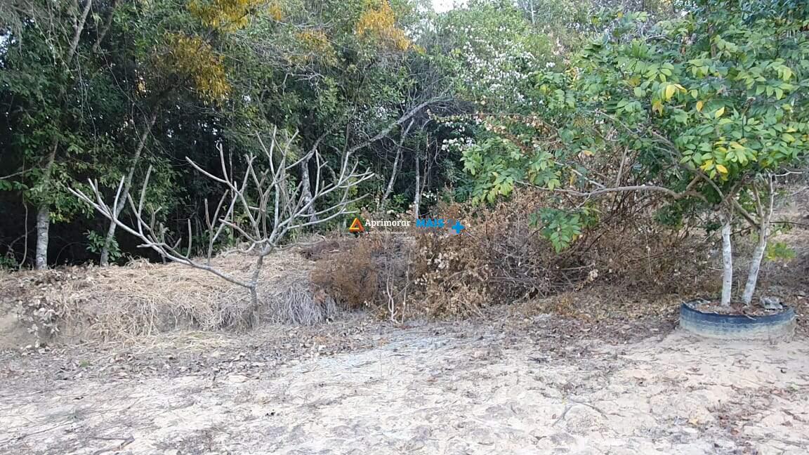 Sítio à venda no Zona Rural: 