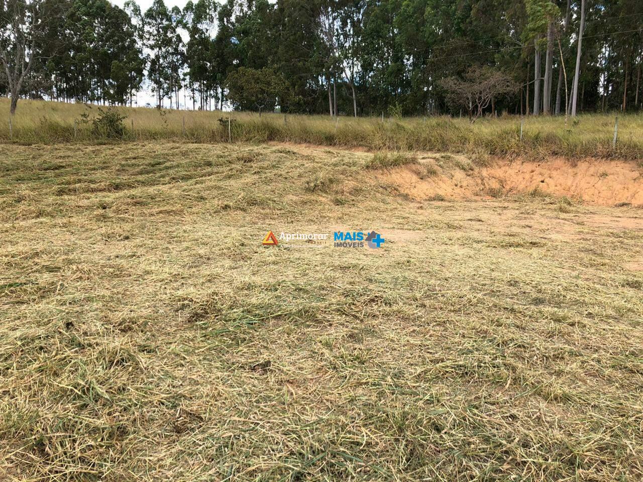 Chácara à venda no Chácara Aeroporto: 