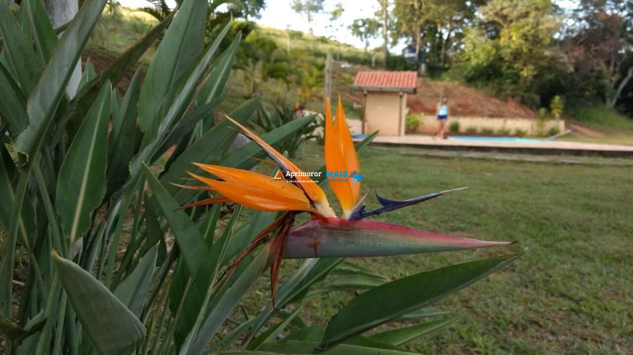 Sítio à venda no Rural: 